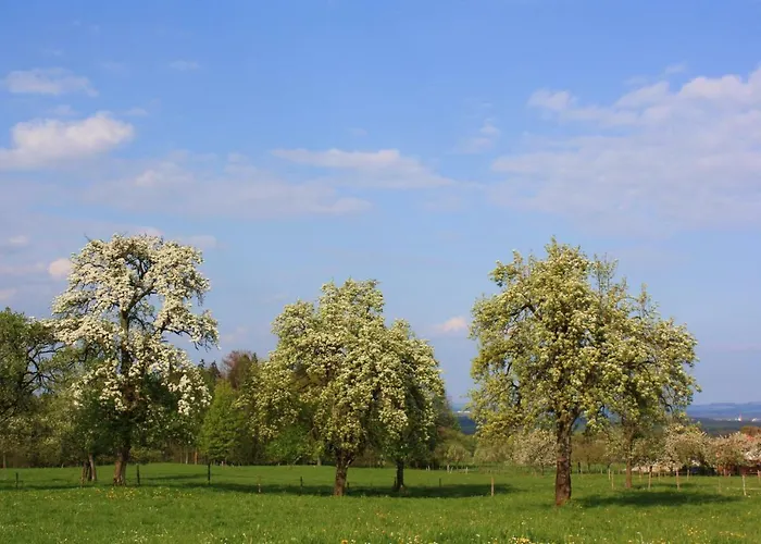 Appartements Apfelblüte