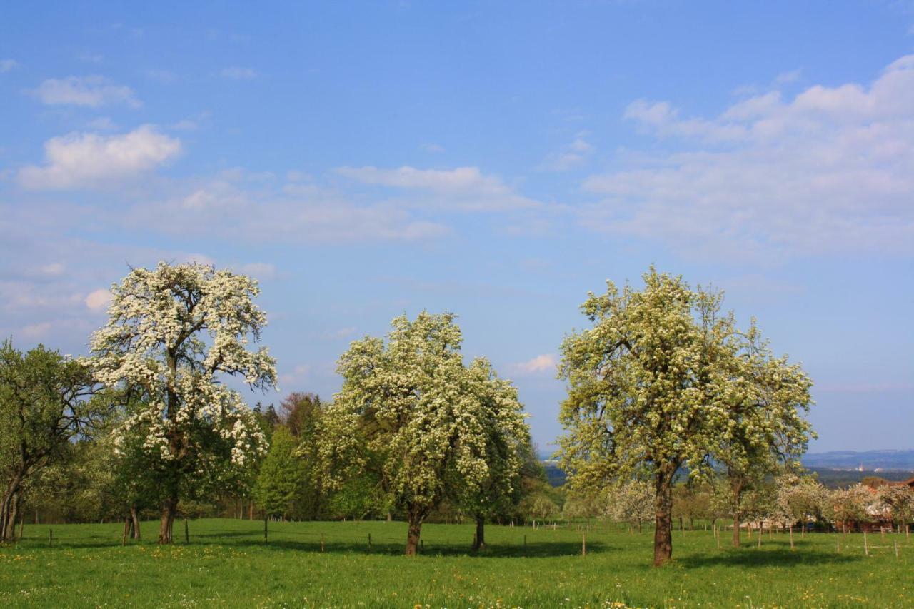 Apartment Apfelblüte *