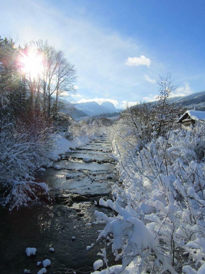 Apfelbluete Bad Feilnbach